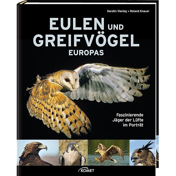 Die Eulen Europas: Biologie, Kennzeichen, Bestände : Mebs